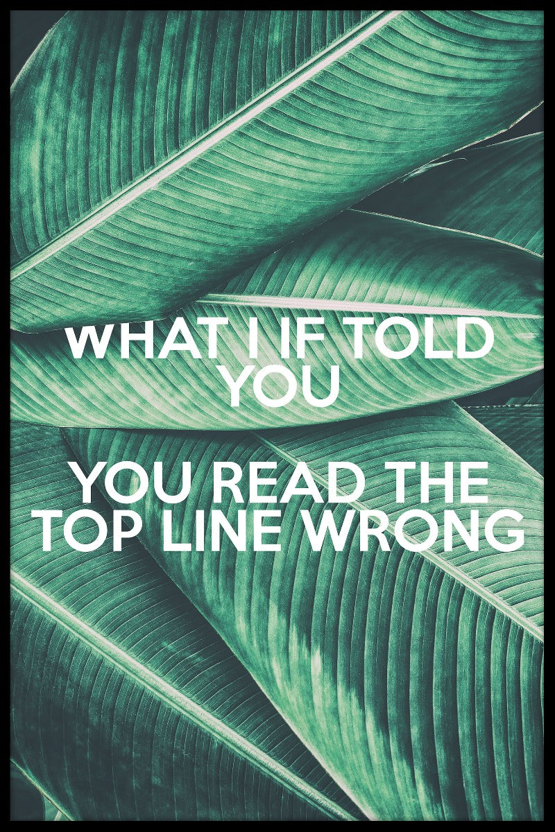 Vad jag om sa till dig N02-poster