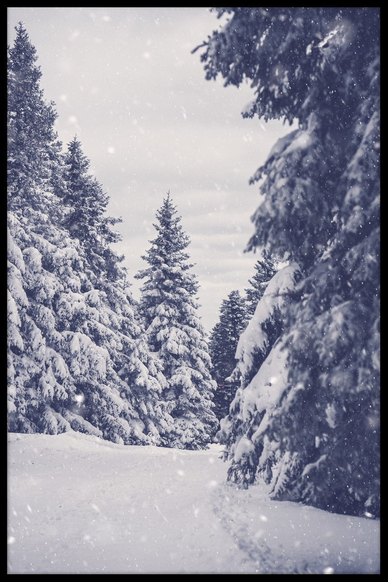Vinter snö skog poster
