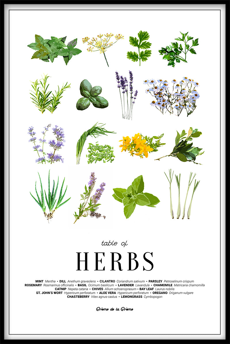 Bord av örter poster