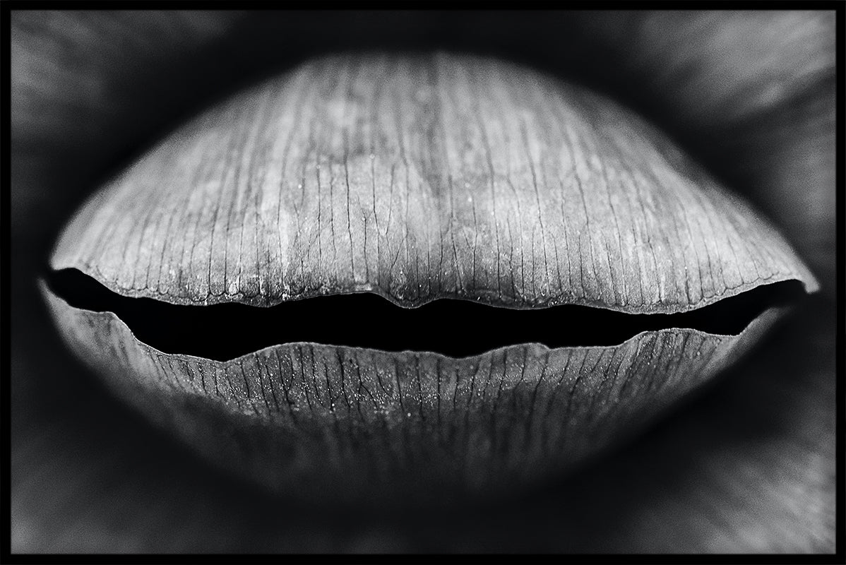 Abstrakt svartvit N02 poster