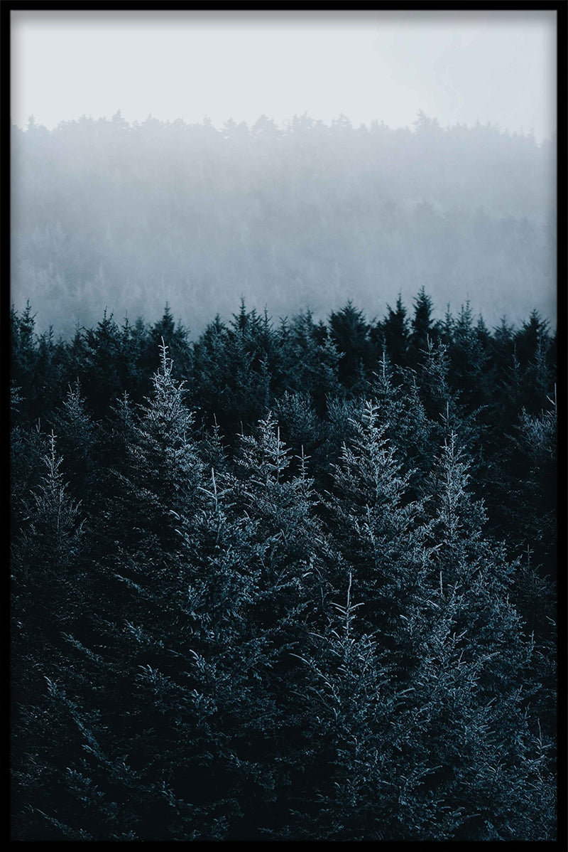 Skandinavisk höst N02 Poster-s