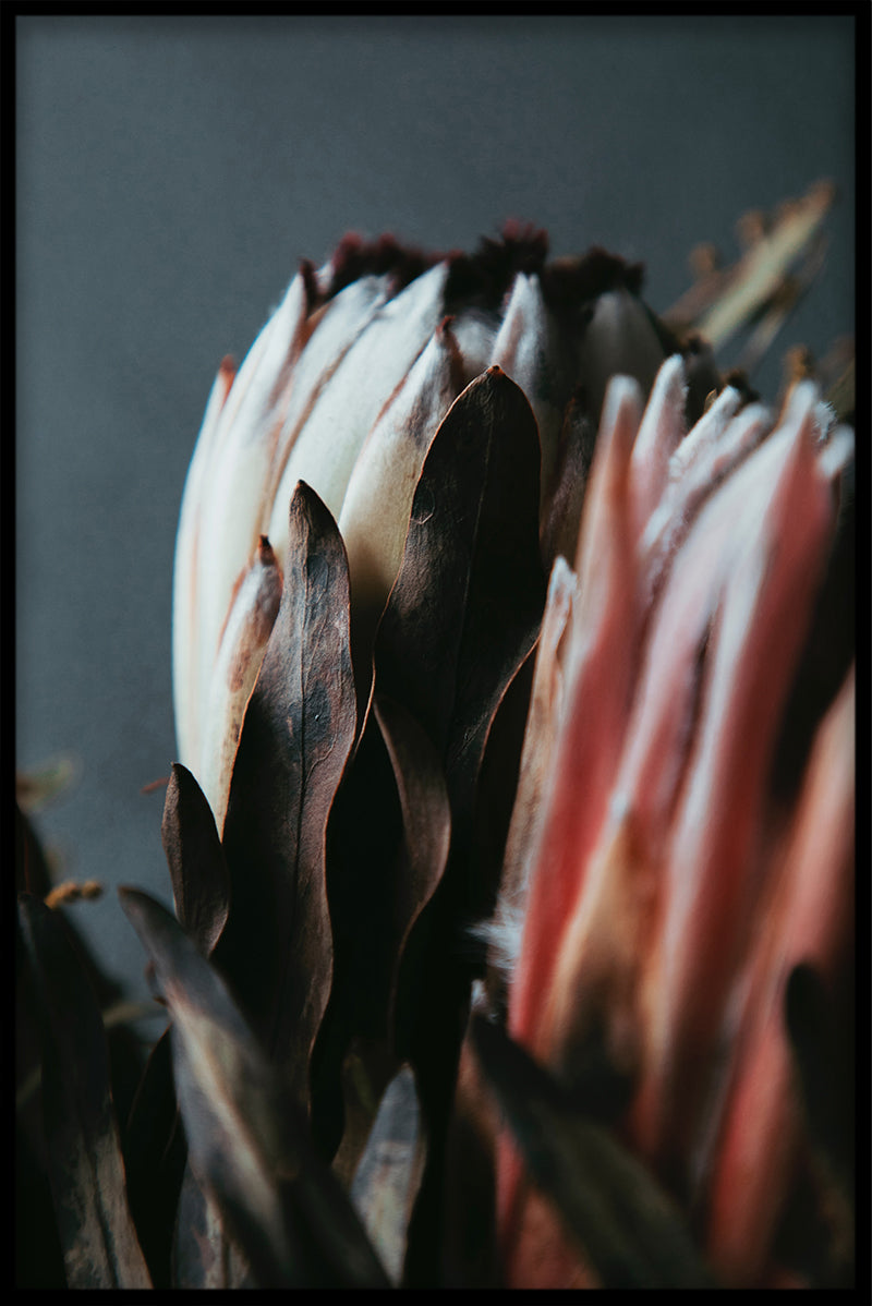 Vintage Flowers Collection N02 poster