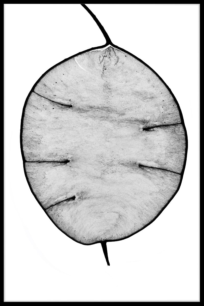 Illustration Abstrakt N02 poster