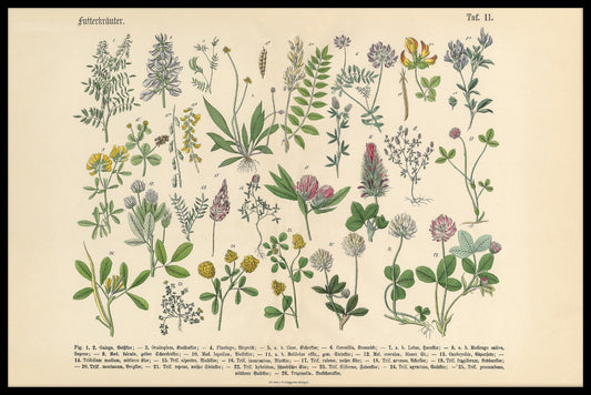 Vintage poster för viktoriansk trädgård