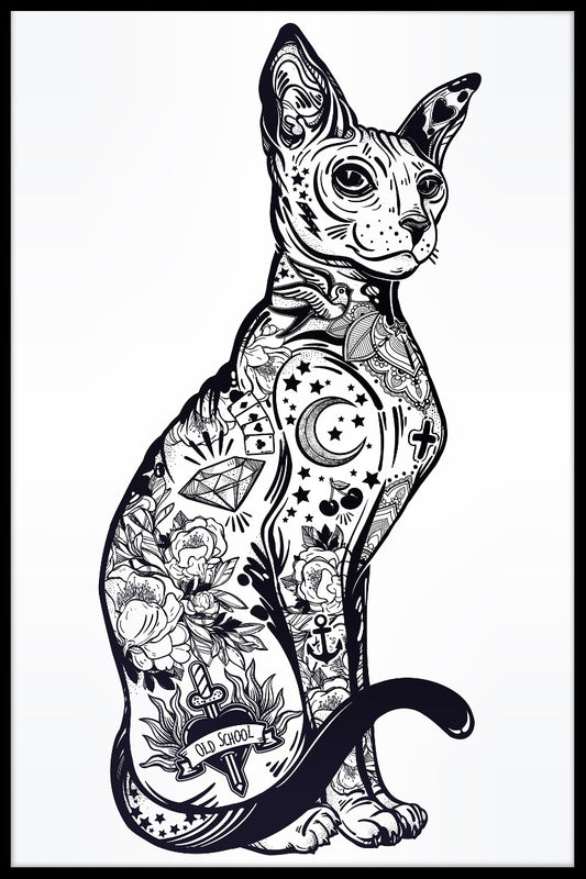 Cat Sphynx Illustration poster