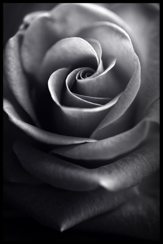 Makroblomma N03 poster