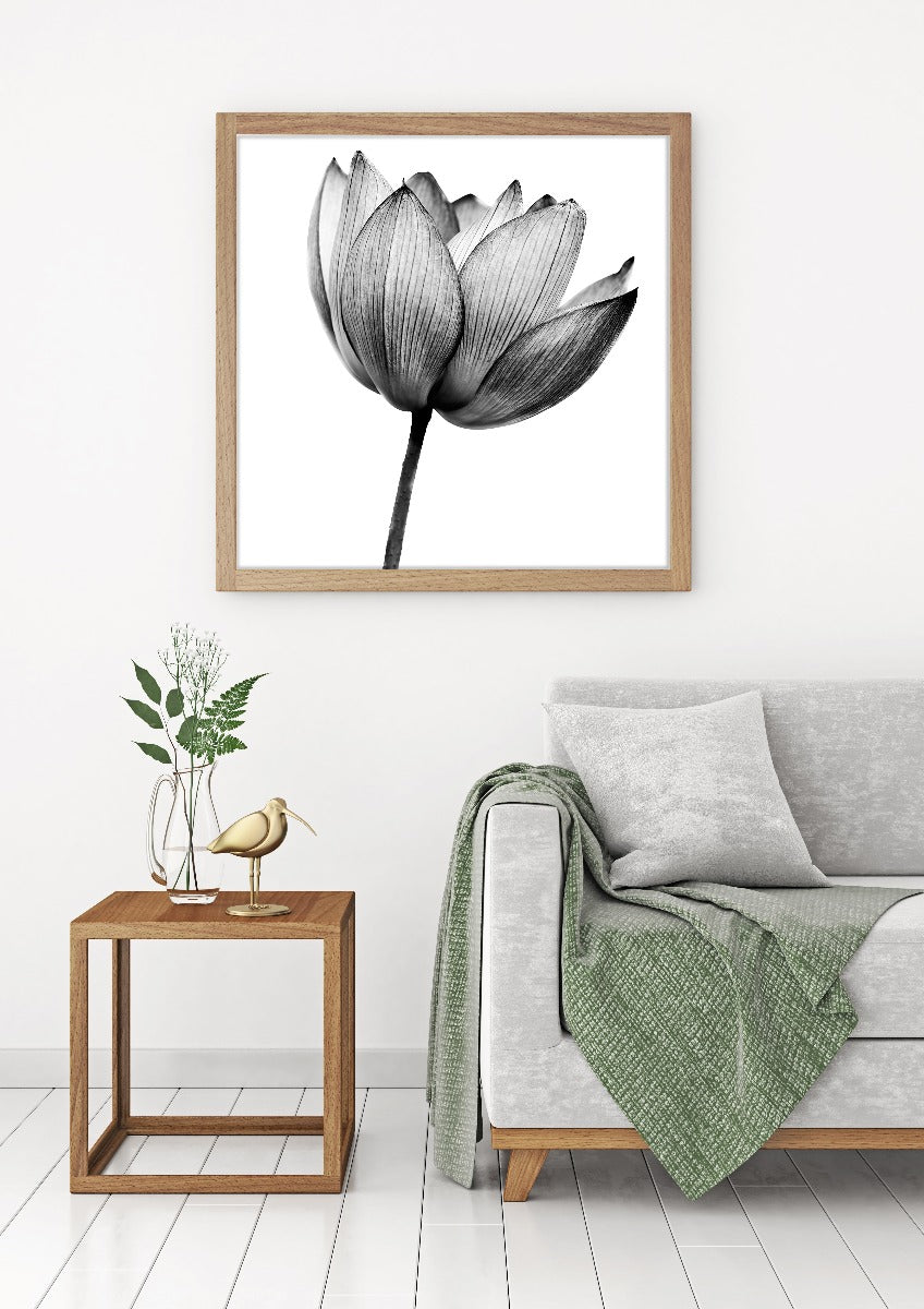 Lotus svartvit poster