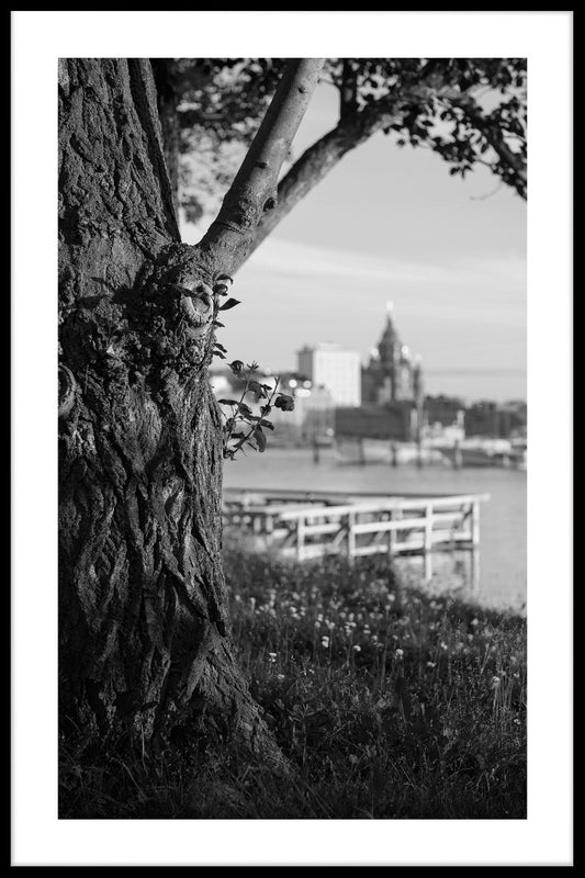 Helsingfors Visa poster