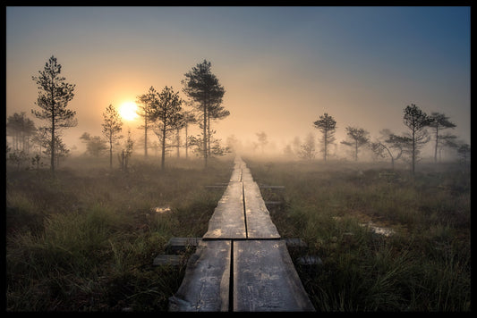 Torronsuo Finland poster