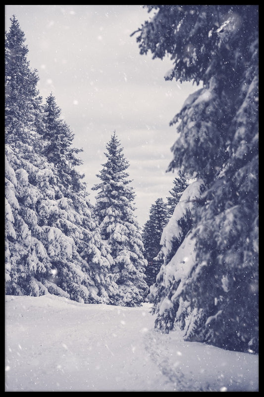 Vinter snö skog poster