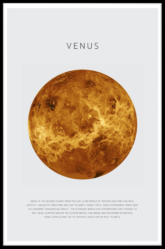Venus poster