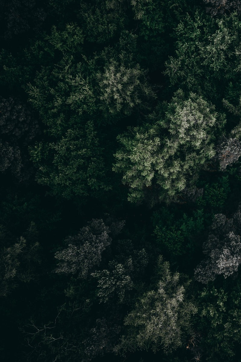 Lush Landscapes N01 poster