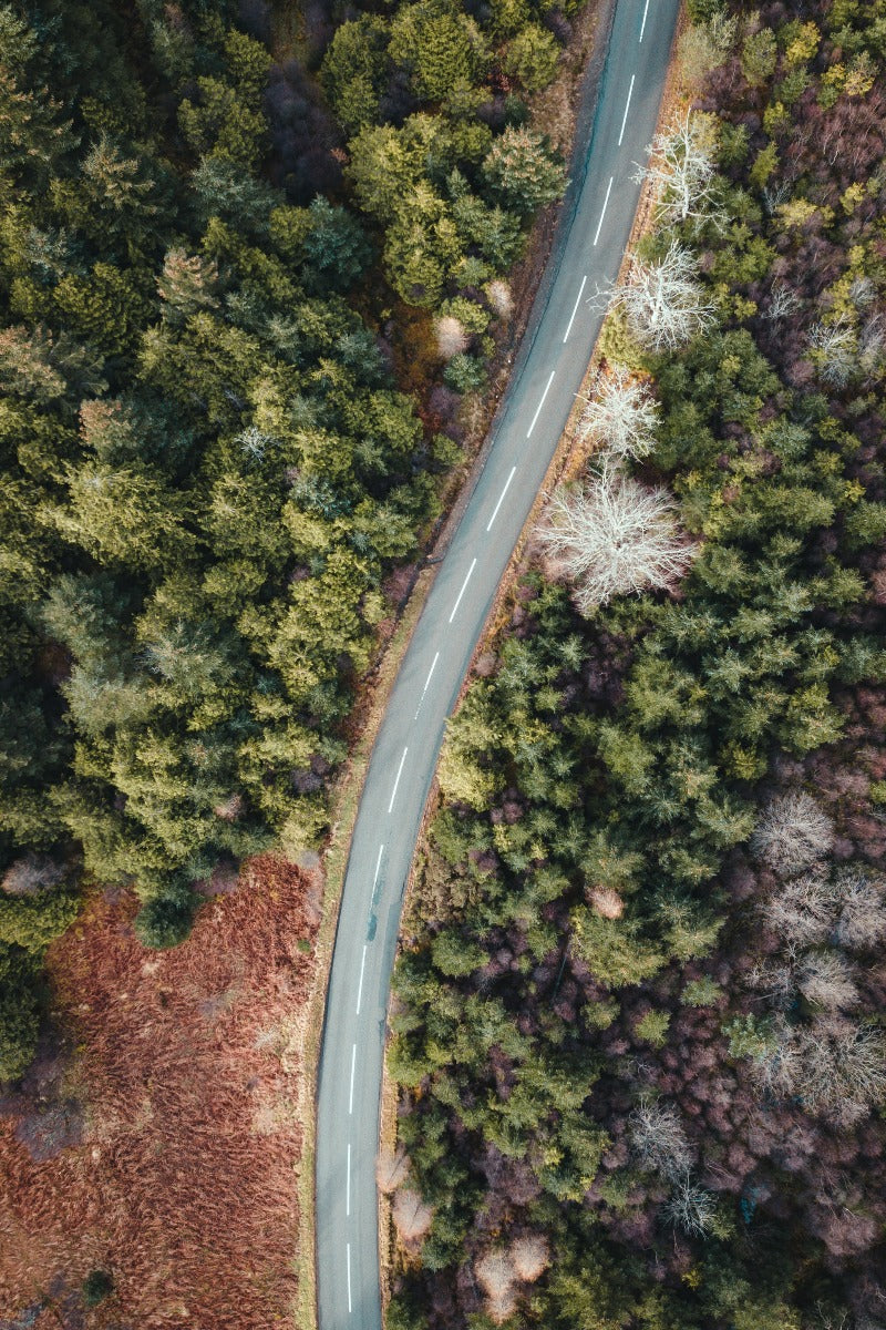 Lush Landscapes N03 poster