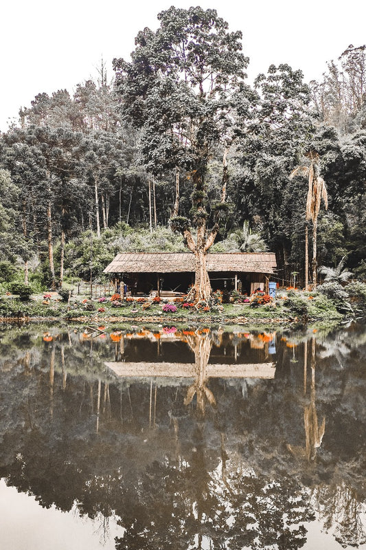 Grön &amp; Grå Natur N02 Poster-s