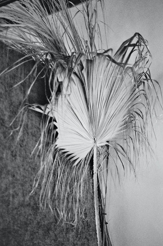 Abstrakt fotografi N02 poster