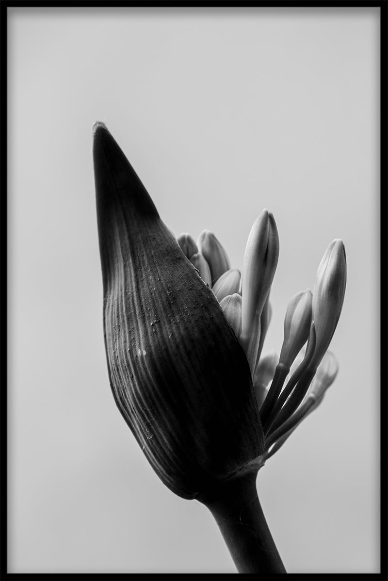 Konstfotografi N02 poster