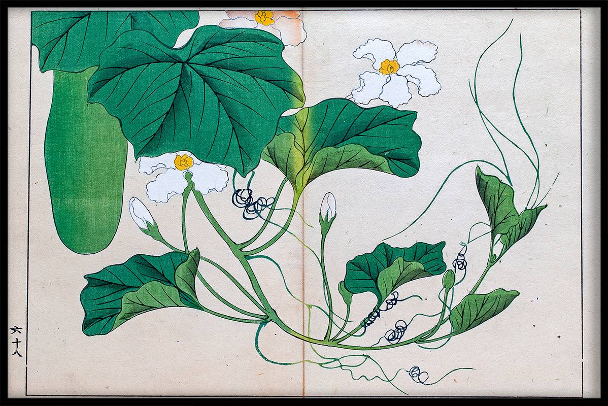 Japansk Illustration N01 poster