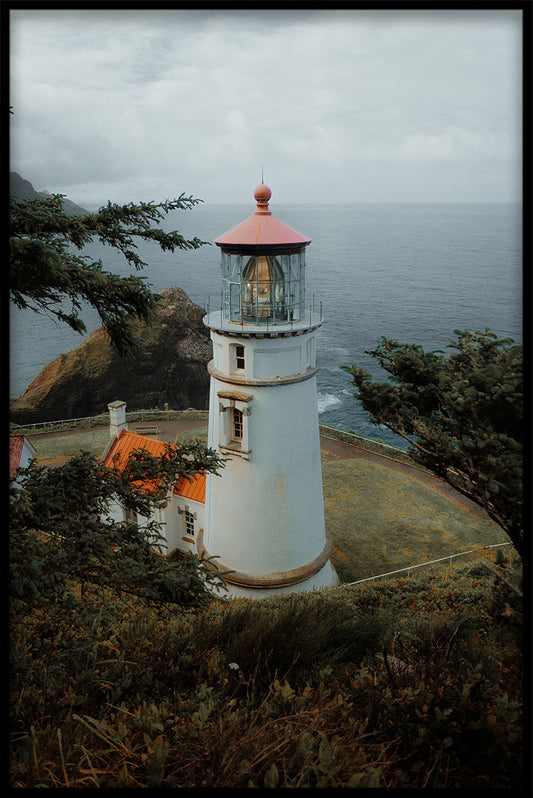 Mulet landskap N02 poster