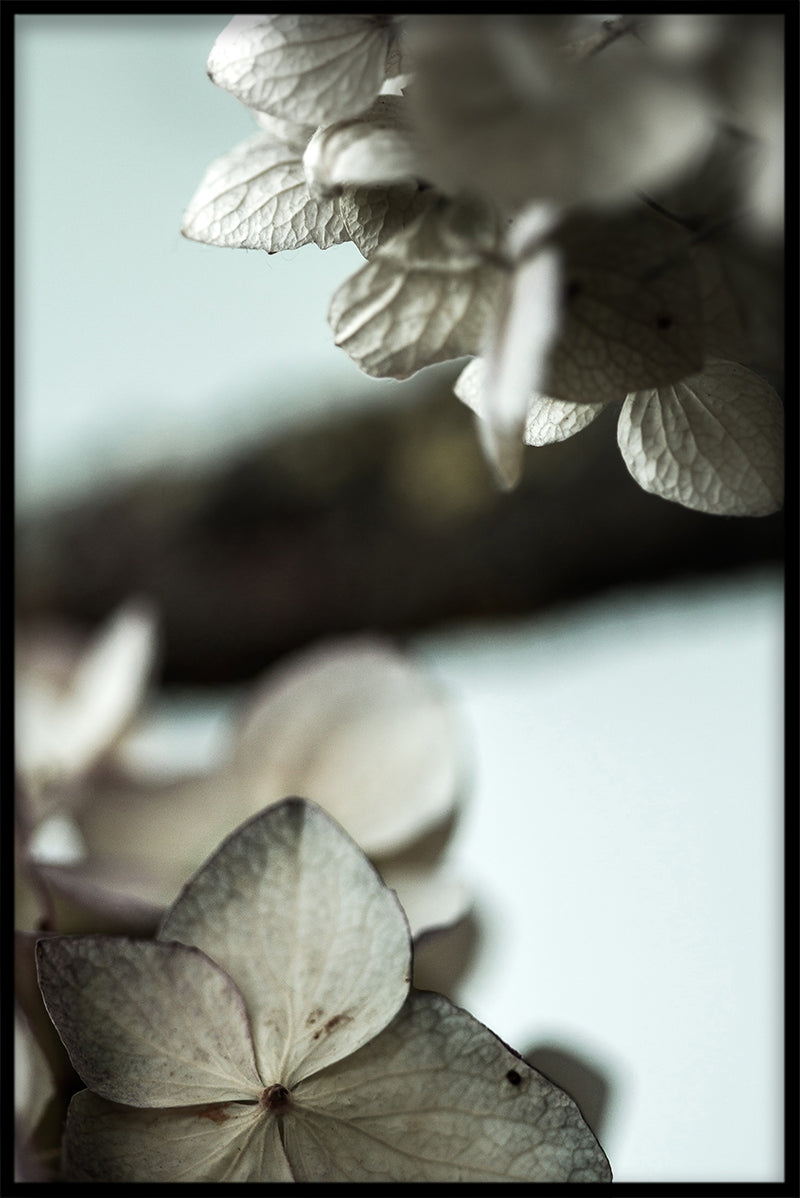 Vintage blomma N03 poster