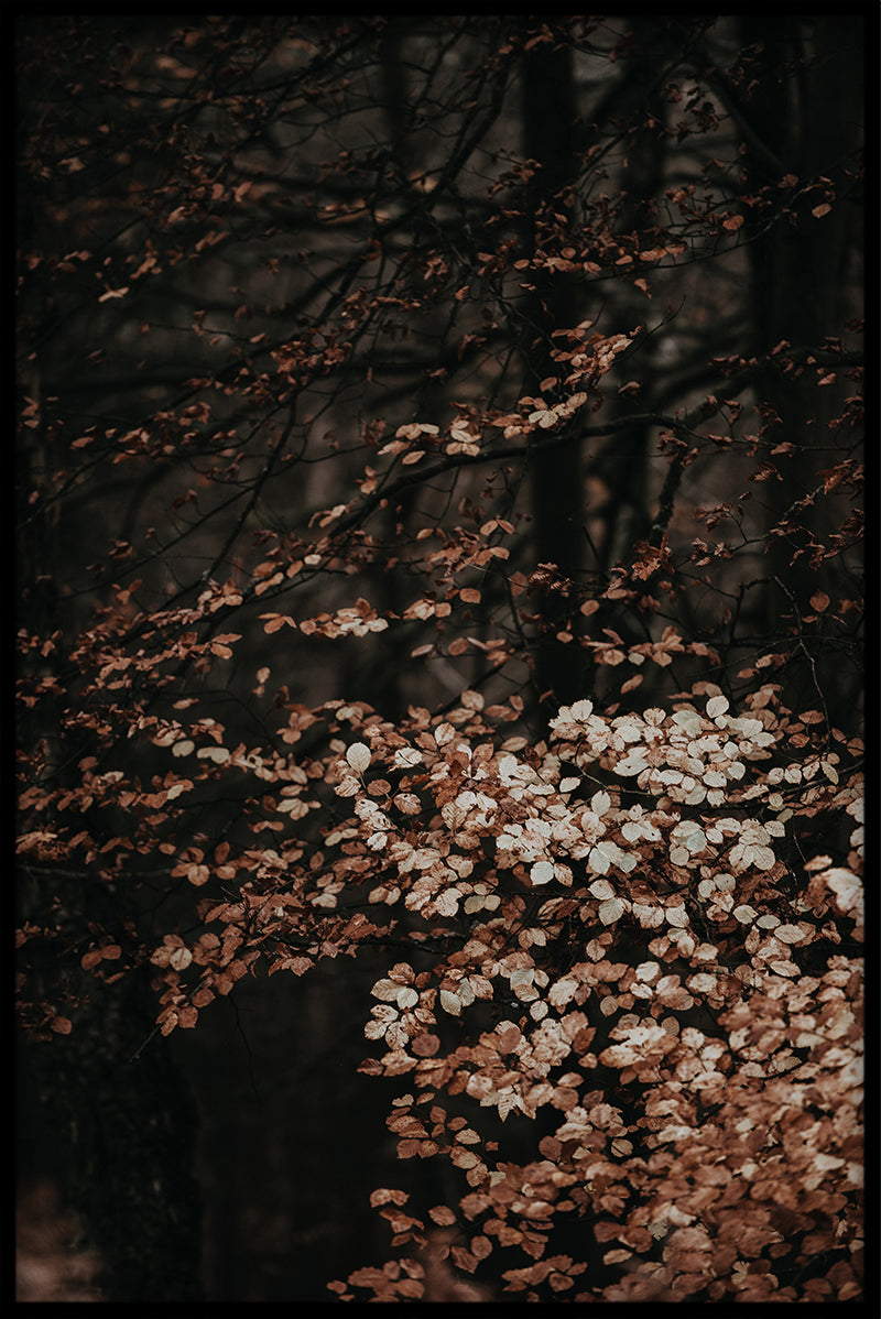 Vintage botanisk samling N01 poster