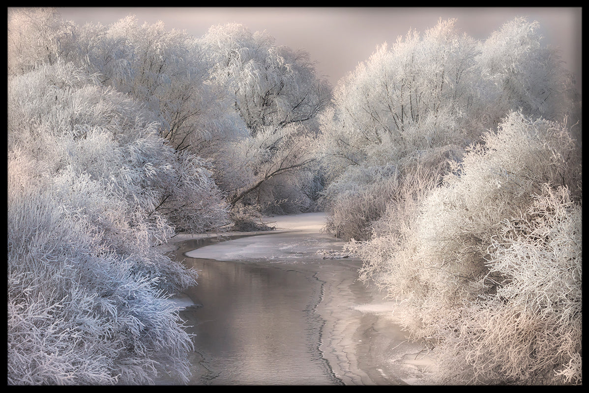 Vinter sångposter