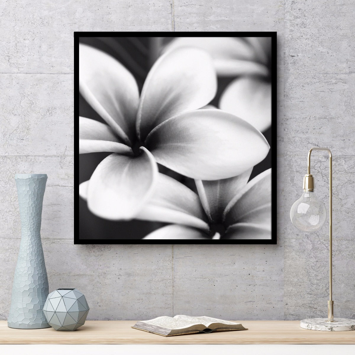 Frangipani botaniska poster