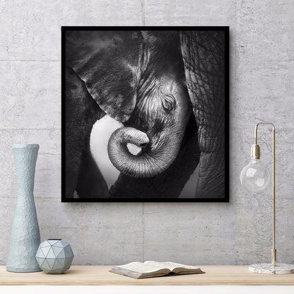 Baby elefant poster