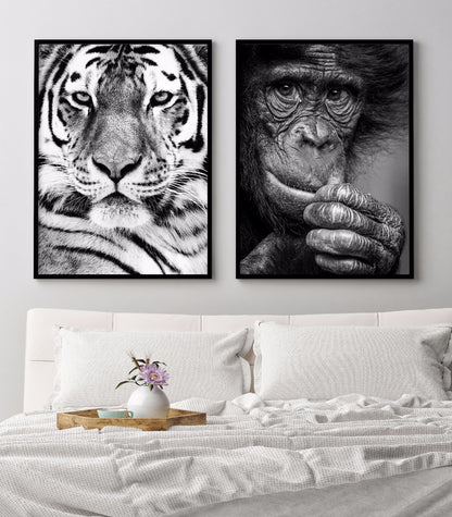 Sibirisk tiger porträttposter