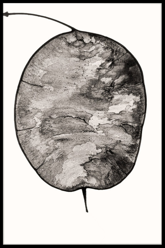 Illustration abstrakt poster